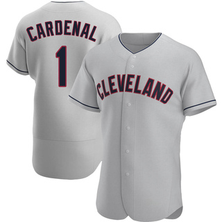 Authentic Jose Cardenal Men's Cleveland Guardians Road Jersey - Gray