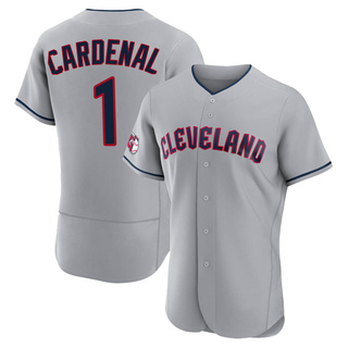 Authentic Jose Cardenal Men's Cleveland Guardians Road Jersey - Gray