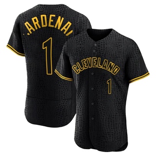 Authentic Jose Cardenal Men's Cleveland Guardians Snake Skin City Jersey - Black