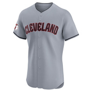 Elite Jose Cardenal Men's Cleveland Guardians Road Jersey - Gray