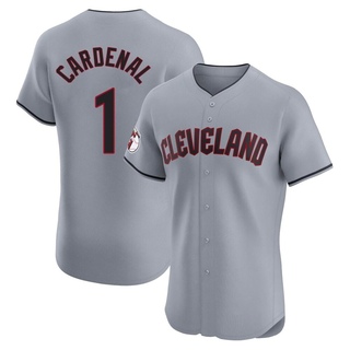 Elite Jose Cardenal Men's Cleveland Guardians Road Jersey - Gray