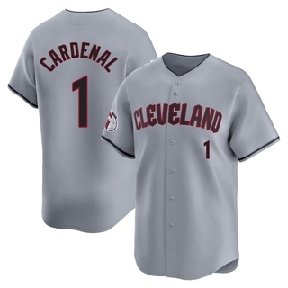 Limited Jose Cardenal Men's Cleveland Guardians Road Jersey - Gray