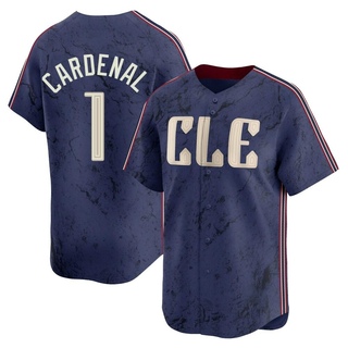 Limited Jose Cardenal Youth Cleveland Guardians 2024 City Connect Jersey - Navy