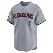 Limited Jose Cardenal Youth Cleveland Guardians Road Jersey - Gray