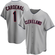 Replica Jose Cardenal Youth Cleveland Guardians Road Jersey - Gray